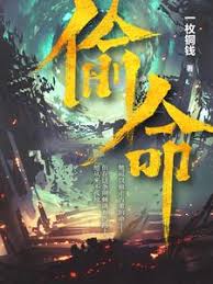 龙藏 封面